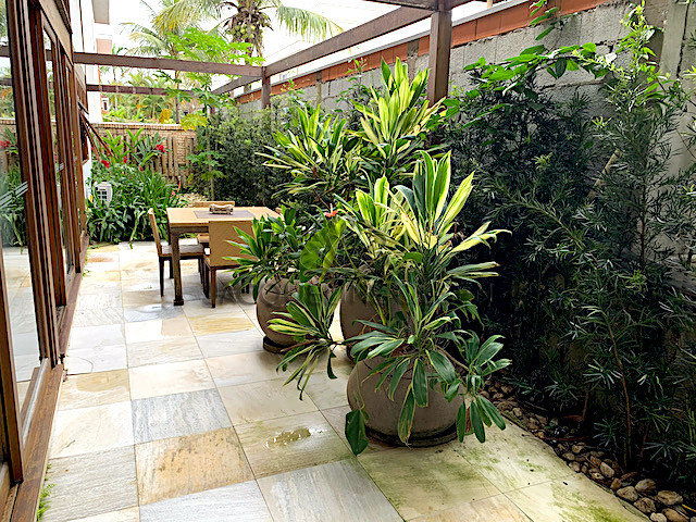 IMG_2010
